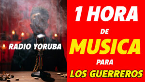 paloma negra de raza auto