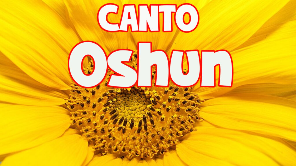 vendo paloma mensajera y buchnes