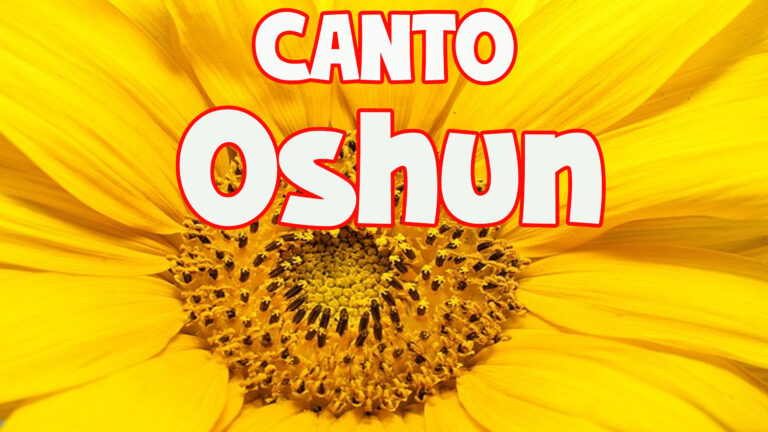 vendo paloma mensajera y buchnes