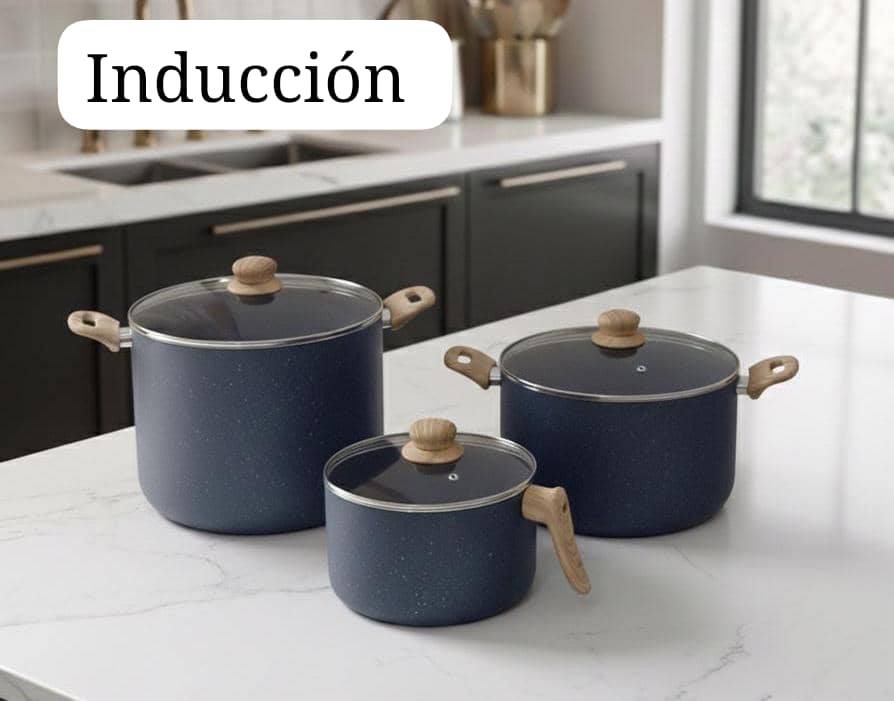 Calderos de inducción