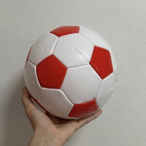 Balones de fútbol