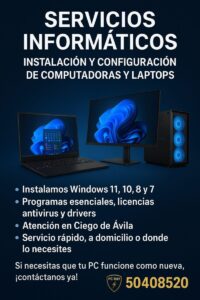 Servicios Informáticos