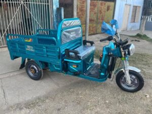 Triciclo Eléctrica
